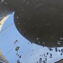 블루베리 수확 후 감사비료 이미지