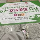 숙꽈배기