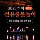 대금민박 | 불꽃놀이 추천🎆 안동 하회마을 선유줄불놀이 생생 후기_축제 팁_관람자리 꿀팁_주차_자리팁_후기...