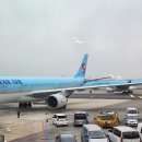 1121 | [김포 &lt;-&gt; 제주여행(JeJu)] 대한항공 국내선 KE1121, K1312 항공편 (A330-300) 이코노미 후기