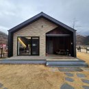 똥강아지애견방