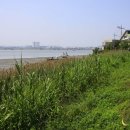 장군횟집 이미지