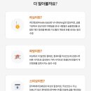 바른피싱 이미지