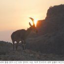 남북수도사