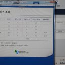 영어 60점으로 전주시 일행 합격한 나무늘보 이야기 이미지