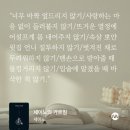 콩세르음악해법플러스학원 | [책다방10기]세이노의 가르침_리뷰를 쓰며 무거운 마음이 해소되다.