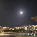 월드호텔 이미지