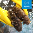 거제해산물 네이버블로그