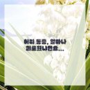 케이플러스청담의원 이미지