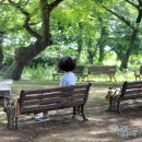 함평모란정 이미지