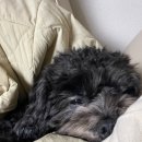 [1월 재능나눔] 내 손으로 만드는 천연립밤 | 지각한 26년 1월 블로그..💕