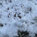 이디야 홍성중앙점 이미지