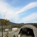 멋내는 애견 | [강원도 홍천 애견동반 캠핑장 추천] 힐링하기 좋은 태극캠핑장 1박 2일 후기