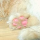 말랑말랑 이미지