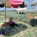 청주시 농업기술센터 이미지