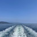 The heartwood | 밴쿠버 아일랜드- 나나이모, 포트 알버니, 토피노