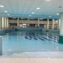 남선공원종합체육관 수영장 이미지