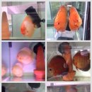 워터월드코리아 이미지