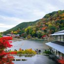 12월 1~4/ 일본3대지역 교토 단풍 이미지