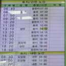 시외버스터미널 맞은편 티스토리
