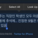 (주)버츄얼스톰 | 주간일기챌린지_생존신고 13