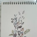 성현동-25 이미지