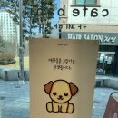 카페바카 이미지
