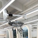 헤드보그 이미지