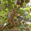 하정농장 이미지