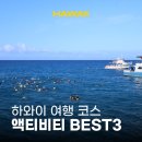 레인보우크러스트 | 하와이 여행 코스 액티비티 추천 거북이 스노쿨링 투어 추천 할인 예약
