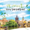 비욘드코리아 이미지