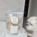 누리댕댕 이미지