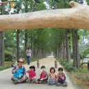 큰빛자연생태어린이집 이미지