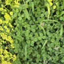 원데이모어 이미지