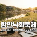 함안낙화축제 2026 후기, 지정좌석제와 글로벌 축제 도약
