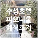 레이나호텔 | 수성호텔 피오니홀 &amp; 레이나모라 드레스 예식후기