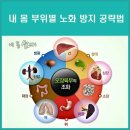 [다르게 늙는다] / [내 몸 부위별(部位別) 노화(老化)를 방지(防止)하는 방법(方法)] 이미지