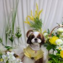 바우미우동물병원 이미지