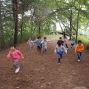 강원경찰청어린이집 이미지