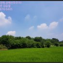 봉양보건진료소 이미지