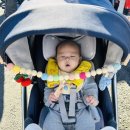 수하농장 | [제주 서귀포시] 11월의 제주 (1) : 빵빵이가 해도 된지 100일 기념 제주 여행