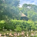 기린식당 이미지