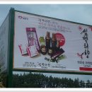 법인백리