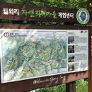 월외리자연회귀마을펜션 이미지