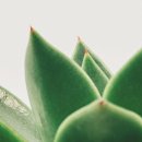 감성한의원 이미지