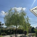 논산2길 6 | 논산역 근처 풀빌라 남자만인 오여 풀빌라 C1 솔직후기