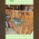 슬립인더가든 이미지