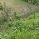 고령농장 이미지