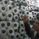 상왕농장 이미지