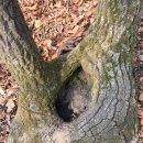 깊은산속 옹달샘 이미지